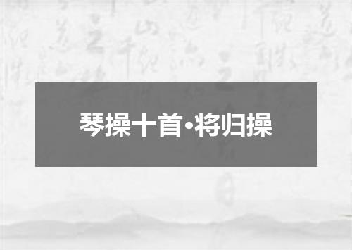 琴操十首·将归操