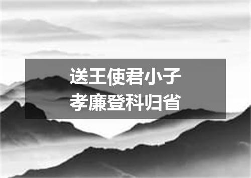 送王使君小子孝廉登科归省