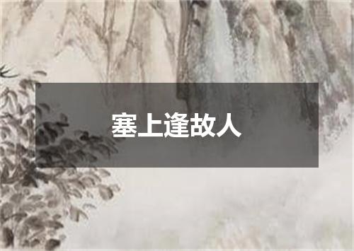 塞上逢故人