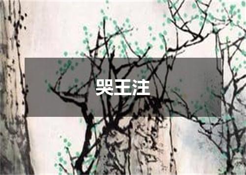 哭王注