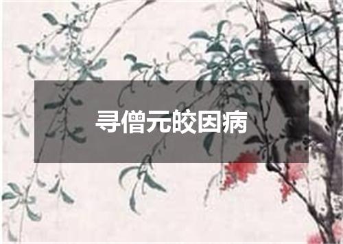 寻僧元皎因病