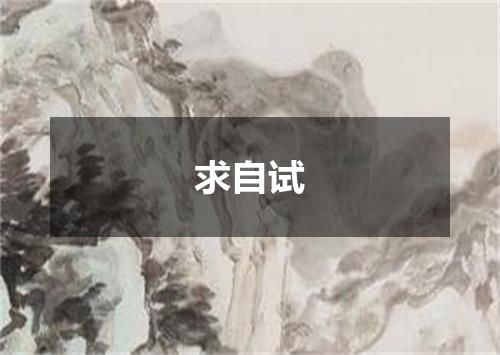 求自试