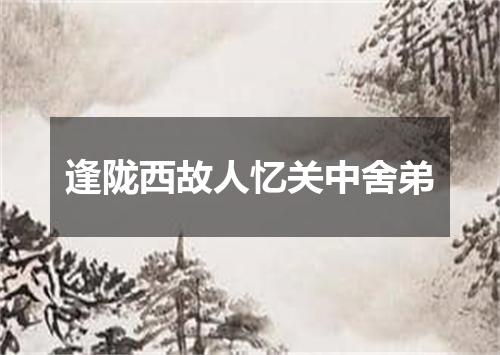 逢陇西故人忆关中舍弟