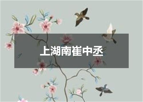 上湖南崔中丞