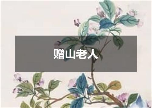 赠山老人