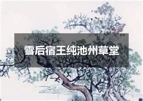 雪后宿王纯池州草堂