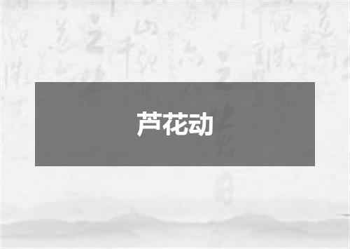 芦花动