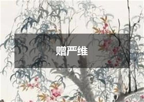 赠严维