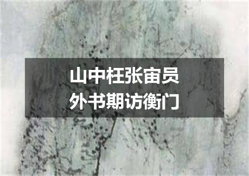 山中枉张宙员外书期访衡门