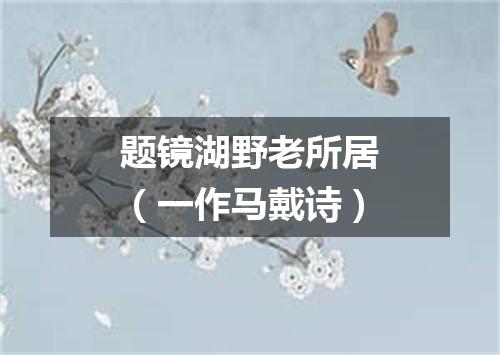 题镜湖野老所居（一作马戴诗）