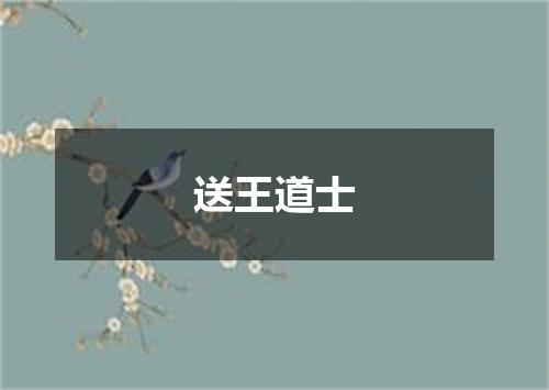 送王道士