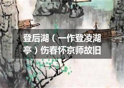 登后湖（一作登凌湖亭）伤春怀京师故旧