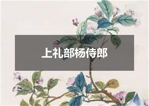 上礼部杨侍郎