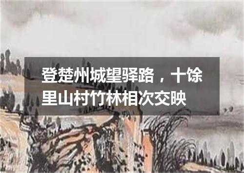 登楚州城望驿路，十馀里山村竹林相次交映