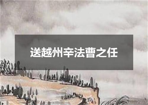 送越州辛法曹之任