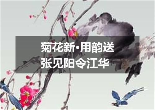 菊花新·用韵送张见阳令江华