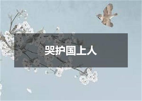 哭护国上人