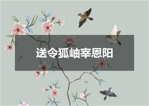 送令狐岫宰恩阳