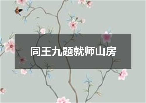 同王九题就师山房