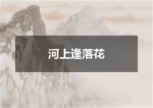 河上逢落花