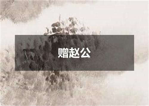 赠赵公