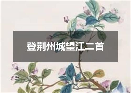 登荆州城望江二首