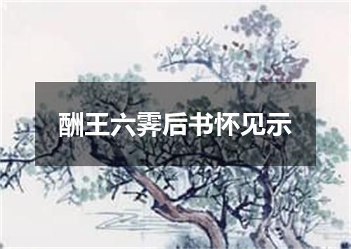 酬王六霁后书怀见示
