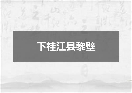 下桂江县黎壁