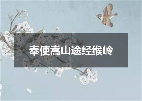 奉使嵩山途经缑岭