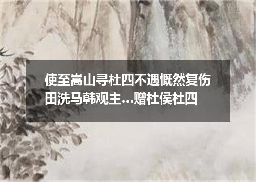 使至嵩山寻杜四不遇慨然复伤田洗马韩观主…赠杜侯杜四