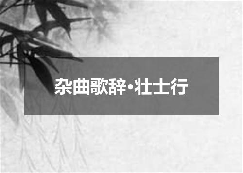 杂曲歌辞·壮士行