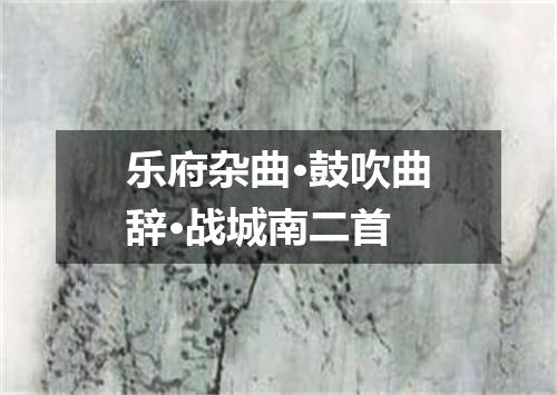乐府杂曲·鼓吹曲辞·战城南二首