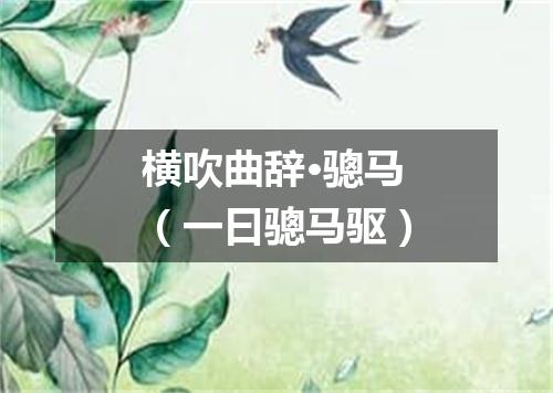 横吹曲辞·骢马（一曰骢马驱）