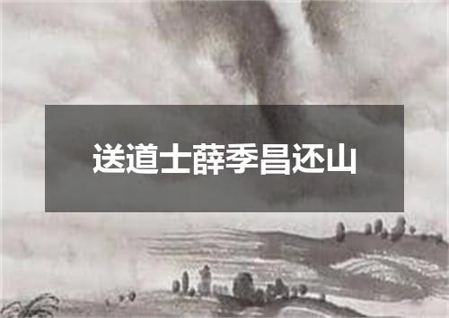 送道士薛季昌还山