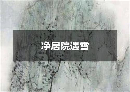 净居院遇雪
