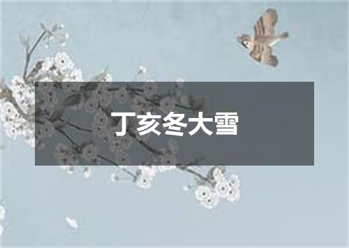 丁亥冬大雪