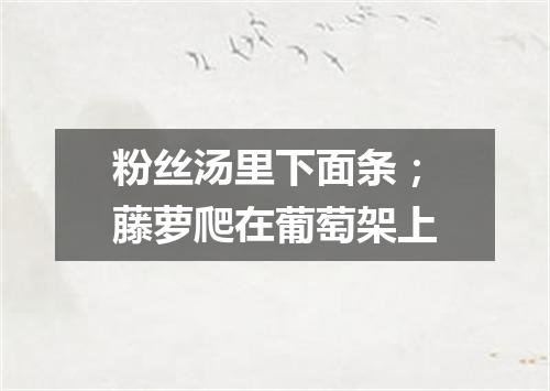 粉丝汤里下面条；藤萝爬在葡萄架上