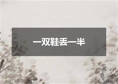 一双鞋丢一半