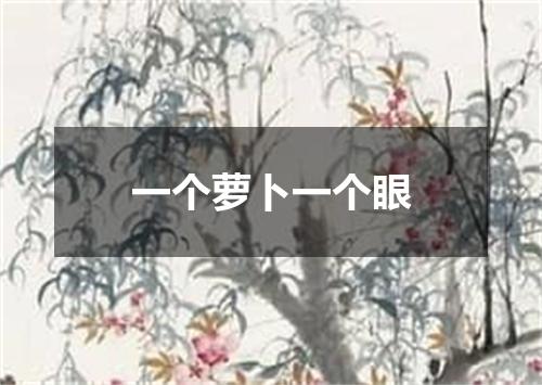 一个萝卜一个眼