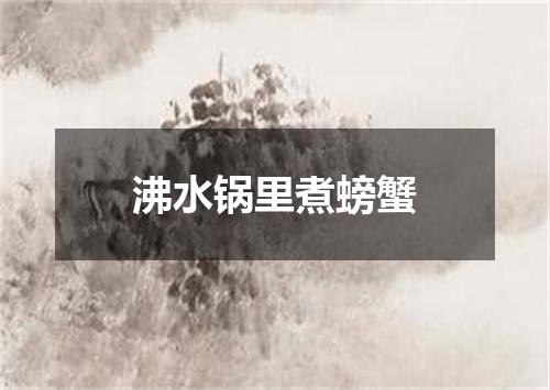 沸水锅里煮螃蟹