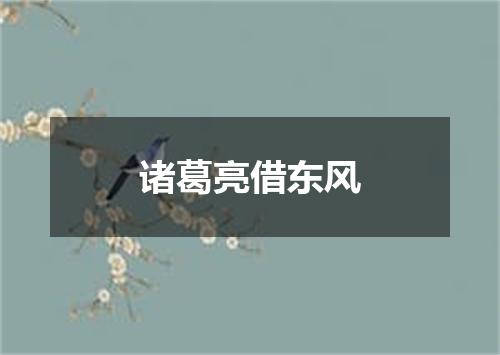 诸葛亮借东风