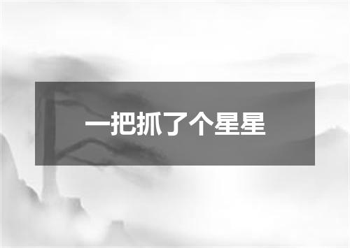 一把抓了个星星
