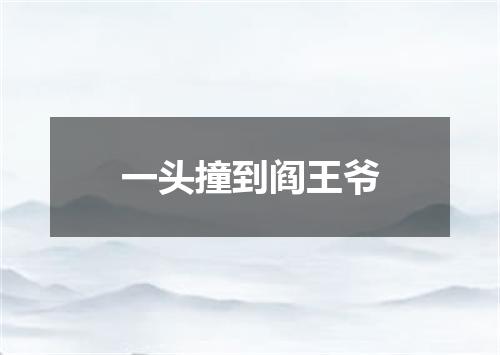 一头撞到阎王爷