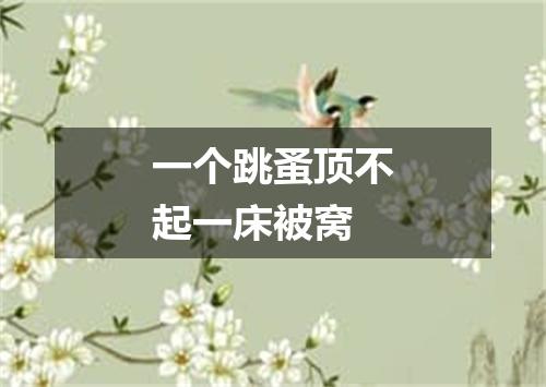 一个跳蚤顶不起一床被窝