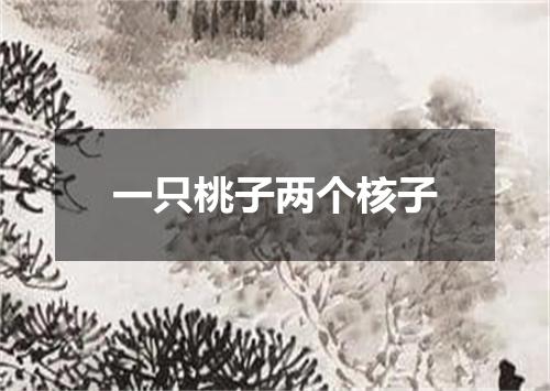 一只桃子两个核子