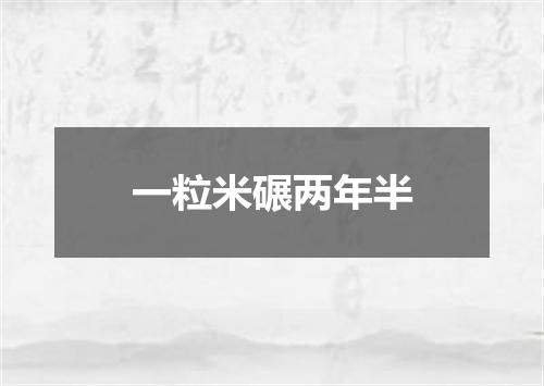 一粒米碾两年半
