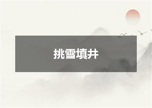 挑雪填井