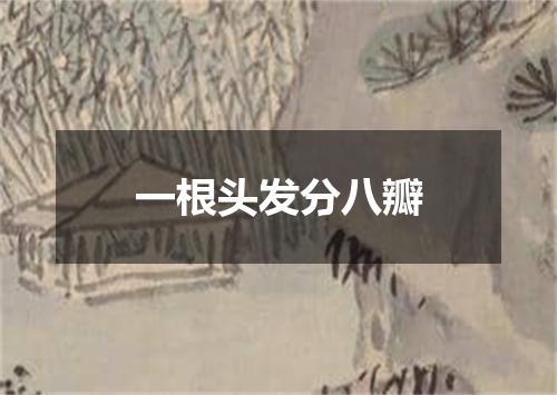一根头发分八瓣