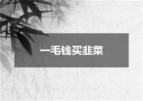 一毛钱买韭菜