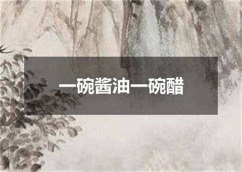 一碗酱油一碗醋